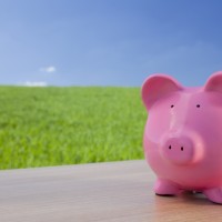 piggy bank