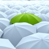 shutterstock_54938614